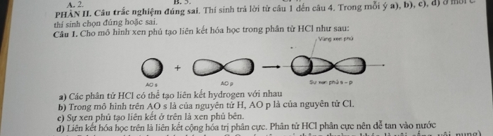 A. 2. B. 5.
PHÀN II. Câu trắc nghiệm đúng sai. Thí sinh trả lời từ câu 1 dến câu 4. Trong mỗi ý a), b), c), dị ở môiC
thí sinh chọn đúng hoặc sai.
Câu 1. Cho mô hình xen phủ tạo liên kết hóa học trong phân từ HCl như sau:
Vùng xen phú
+
AO AO p Sự xen phú s - p
a) Các phân tử HCl có thể tạo liên kết hydrogen với nhau
b) Trong mô hình trên AO s là của nguyên tử H, AO p là của nguyên tử Cl.
c) Sự xen phủ tạo liên kết ở trên là xen phủ bên.
d) Liên kết hóa học trên là liên kết cộng hóa trị phân cực. Phân tử HCl phân cực nên đễ tan vào nước