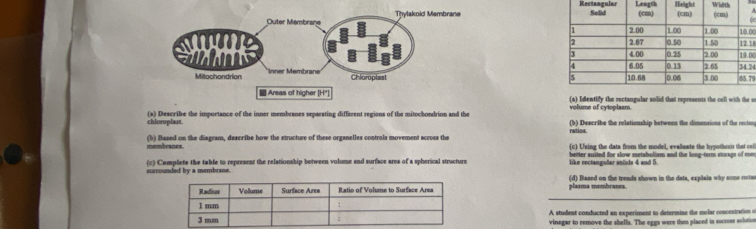 RectangularLengthHieightWhatth( A 
ane 
00 
1 
00
24
79
(a) Identify the rectangular solid that represents the cell with the so 
volume of cytoplasm. 
chloroplast. (a) Describe the importance of the inner membranes separating different regions of the mitochondrion and the (b) Describe the relationship between the dimensions of the rectang 
ratios. 
membranes. (b) Based on the diagram, describe how the structure of these organelles controls movement across the (c) Using the data from the model, evalluate the hypotheris that col 
(c) Complete the table to represent the relationship between volume and surface area of a spherical structure like rectangular solids 4 and 5. better suited for slow metabolism and the long-term storags of cn 
nded by a membran e (d) Based on the trends shown in the data, explaia why some roctas 
plasma mombranes. 
A studeat conducted an experiment to determine the molar concentration of 
vinegar to remove the shells. The eggs were the placed is sucrose solution