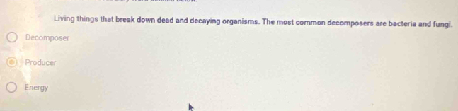 Living things that break down dead and decaying organisms. The most common decomposers are bacteria and fungi.
Decomposer
Producer
Energy