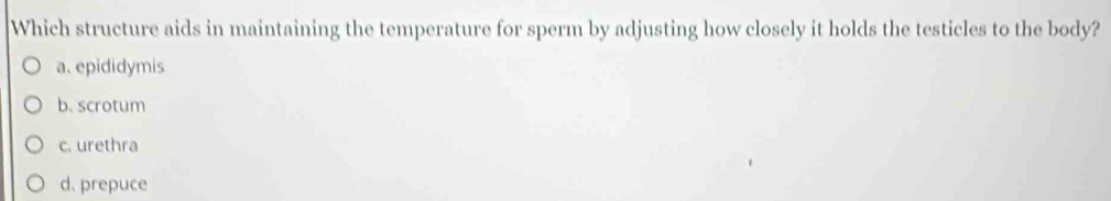 Which structure aids in maintaining the temperature for sperm by adjusting how closely it holds the testicles to the body?
a. epididymis
b. scrotum
c. urethra
d. prepuce