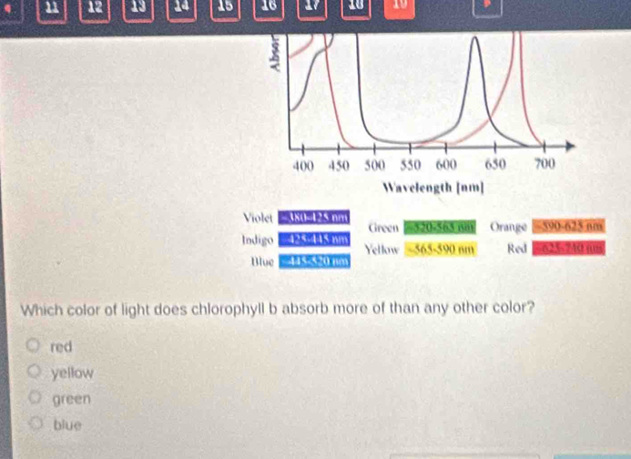 4 11 12 19 14 15 16 10 10
Wavelength [nm]
Violet 380-125 nm
Green = 520-565/1i Orange = 590-625/nm
Indigo 5-445 nn 565-590 mm Red % 625-7A0 (u)
Yellow
Blue 415-520 nm
Which color of light does chlorophyll b absorb more of than any other color?
red
yellow
green
blue