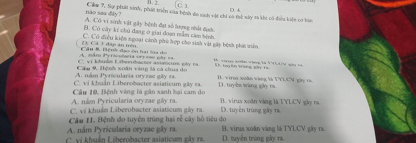 B. 2. C. 3.
D. 4.
Câu 7. Sự phát sinh, phát triển của bệnh do sinh vật chỉ có thể xảy ra khi có điều kiện cơ bản
nào sau đây?
A. Có vi sinh vật gây bệnh đạt số lượng nhất định.
B. Có cây kí chủ đang ở giai đoạn mẫm cảm bệnh.
C. Có điều kiện ngoại cảnh phù hợp cho sinh vật gây bệnh phát triển.
D. Cả 3 đáp án trên.
Câu 8. Bệnh đạo ôn hại lúa do
A. nầm Pyricularia oryzae gây ra. B. virus xoãn vàng lá TYLCV gây ra.
C. vị khuẩn Liberobacter asiaticum gây ra. D. tuyến trùng gây ra.
Câu 9. Bệnh xoăn vàng lá cà chua do
A. nấm Pyricularia oryzae gây ra. B. virus xoăn vàng lá TYLCV gây ra.
C. vi khuẩn Liberobacter asiaticum gây ra. D. tuyển trùng gây ra.
Câu 10. Bệnh vàng lá gân xanh hại cam do
A. nấm Pyricularia oryzae gây ra. B. virus xoăn vàng lá TYLCV gây ra.
C. vi khuẩn Liberobacter asiaticum gây ra. D. tuyển trùng gây ra.
Câu 11. Bệnh do tuyển trùng hại rễ cây hồ tiêu do
A. nấm Pyricularia oryzae gây ra. B. virus xoãn vàng lá TYLCV gây ra.
C. vị khuẩn Liberobacter asiaticum gây ra. D. tuyển trùng gây ra.