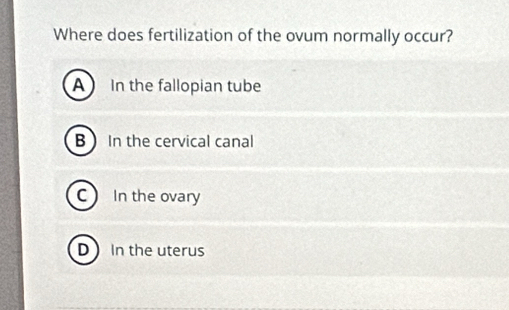 Where does fertilization of the ovum normally occur?
In the fallopian tube
B In the cervical canal
CIn the ovary
D In the uterus