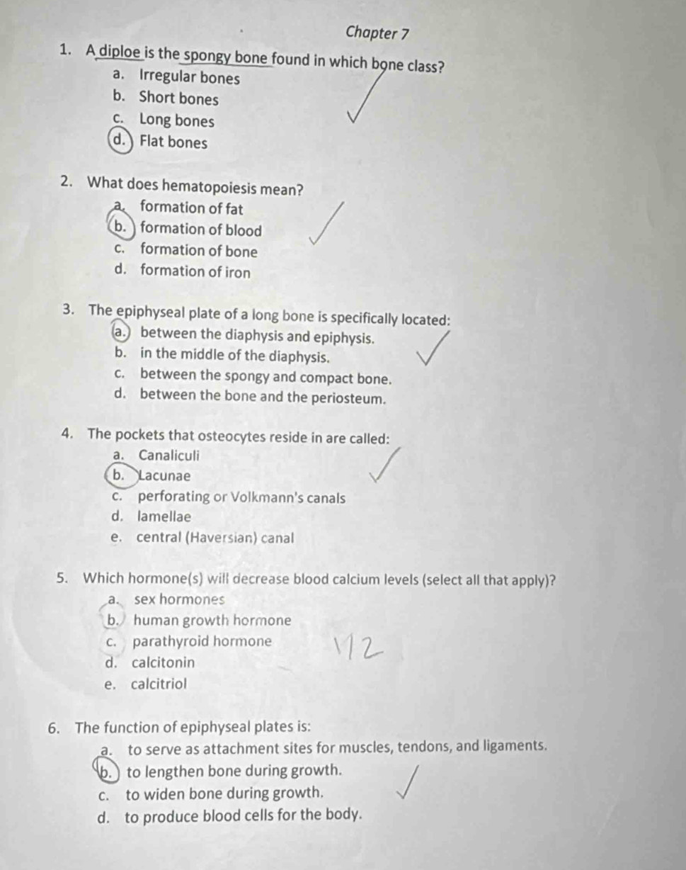 Chapter 7
1. A diploe is the spongy bone found in which bone class?
a. Irregular bones
b. Short bones
c. Long bones
d. Flat bones
2. What does hematopoiesis mean?
a formation of fat
b. formation of blood
c. formation of bone
d. formation of iron
3. The epiphyseal plate of a long bone is specifically located:
a. between the diaphysis and epiphysis.
b. in the middle of the diaphysis.
c. between the spongy and compact bone.
d. between the bone and the periosteum.
4. The pockets that osteocytes reside in are called:
a. Canaliculi
b. Lacunae
c. perforating or Volkmann's canals
d. lamellae
e. central (Haversian) canal
5. Which hormone(s) will decrease blood calcium levels (select all that apply)?
a. sex hormones
b. human growth hormone
c. parathyroid hormone
d. calcitonin
e. calcitriol
6. The function of epiphyseal plates is:
as to serve as attachment sites for muscles, tendons, and ligaments.
b. to lengthen bone during growth.
c. to widen bone during growth.
d. to produce blood cells for the body.