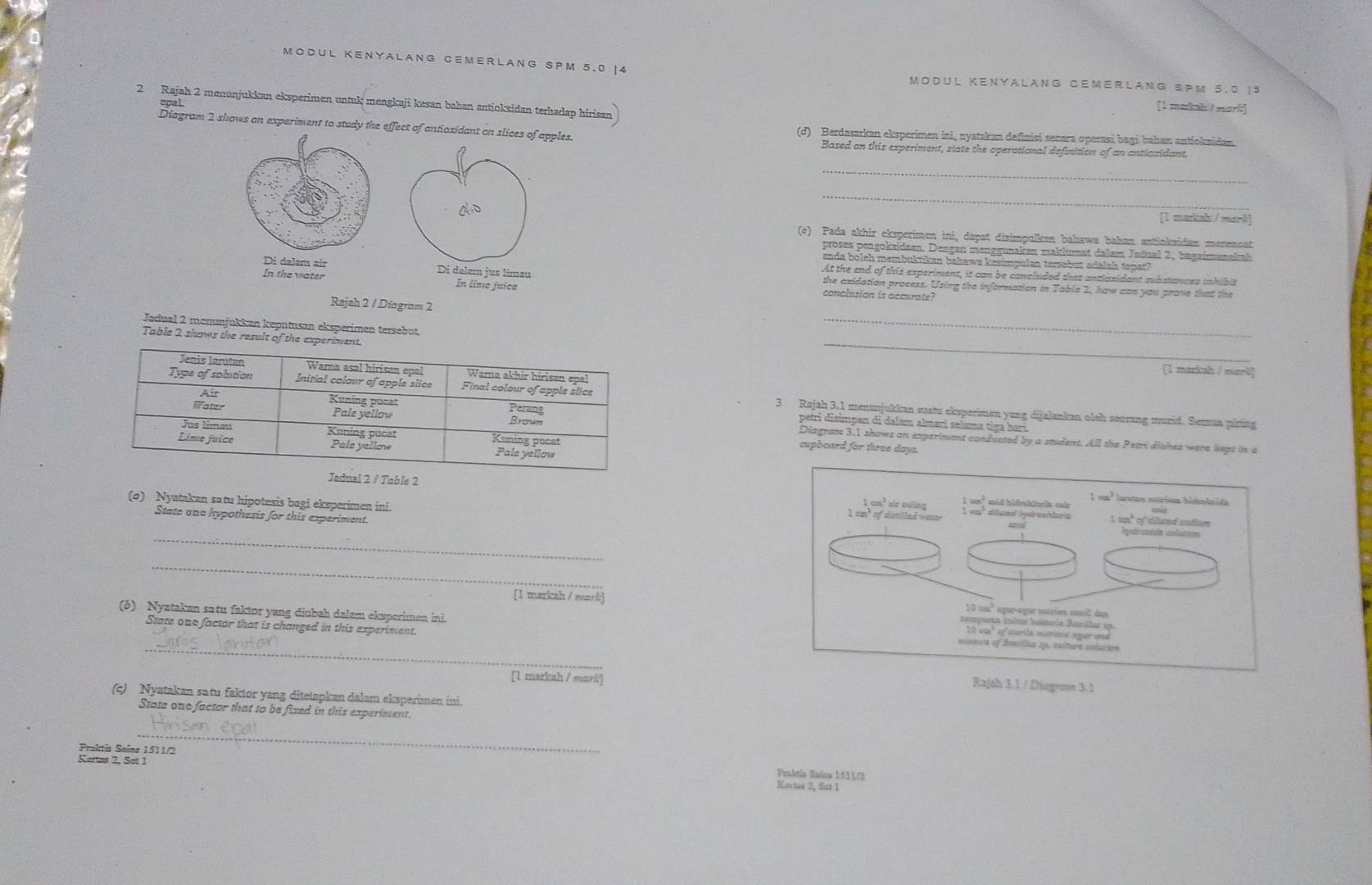 MODUL KENyALanG CEMERLAnG SPM 5.0 |4  MODUL KenyalanG CEmérlang SPM 5.0 18
2 Rajah 2 menunjukkan eksperimen untuk mengkaji kesan bahan antioksidan terhadap hirisan
epal.
[1 makah / mork]
Diagram 2 shows an experiment to study the effect of antoxidant on slices of apples. (d) Berdasarkan eksperimen ini, nyatakan definisi secara operasi bagi bahan anticksidan.
Based on this experiment, state the operational definition of an anticxidant
_
_
[1 markah / mark]
(e) Pada akhir eksperimen ini, dapat disimpulkan bahawa bahan anticksidan marencat
proses pengokridaan. Dengan menggunakan maklumat dalam Jadnal 2, bagaimenakak
anda boleh membuktikan bakaws kesimpulan tersebut adalah tepat?
At the end of this experiment, it can be conaluided that antlaxidant substances inhibit
Di dalam air Di delem jus limau the axidation process. Using the information in Table 2, how can you prove that the
In the water In lime juice conclusion is accurate?
Rajah 2 / Diogrom 2
Jadual 2 mcnunjukkan keputusan eksperimen tersebut.
_
Table 2 shows the result of the ex _[1 markal / sureh]
3 Rajah 3,1 menunjukkan sustu eksperimen yung dijalankan olth scorang murid. Semua piring
petri disimpan di dalam almari selama tiga hari.
Diagram 3.1 shows on experinient conducted by a student. All the Peari dishes were kept in a
cupboard for three days.
2 / Table 2 
(σ) Nyatakan satu hipotesis bagi eksperimen ini.
State one hypothesis for this experiment.
_
_
[1 markah / mark]
_
(6) Nyatakan satu faktor yang diubah dalam eksperimen ini. 
State one factor that is changed in this experiment.
[1 markah / mark]
(c) Nyatakan satu faktor yang ditetapkan dalam eksperimen ini.
State one factor that to be fixed in this experiment
_
Praktis Sains 1511/2
Kertas 2, Sot 1 Katas 2, Sai 1 Praktis Sains 1511/3