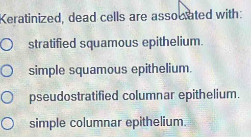 Keratinized, dead cells are assocated with:
stratified squamous epithelium.
simple squamous epithelium.
pseudostratified columnar epithelium.
simple columnar epithelium.