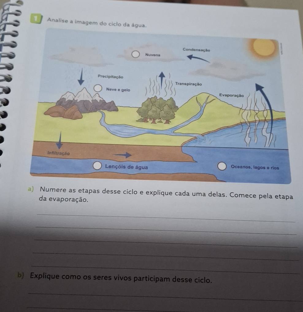 Resolvido:Analise a imagem do ciclo da água. a) Numere as etapas desse ...