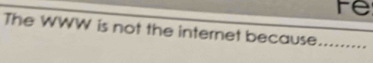 Fe 
The WWW is not the internet because.