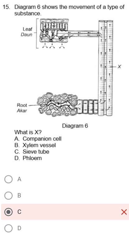 Diagram 6 shows the movement of a type of
substance.
Diagram 6
What is X?
A. Companion cell
B. Xylem vessel
C. Sieve tube
D. Phloem
A
B
C
X
D