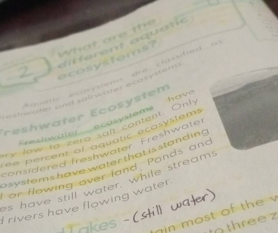 What are th e 
dif f erent aquat ic 
ecosystems? 
Aquatic ecosystems are classified a 
ater and saltwater ecosy stem . 
r hwater Ecosy s tem 
reshw ater ecosystems have 
ry low to zero salt content. Only 
er c ent of aquatic ecosystem . 
con sidered freshwater. Freshwater 
psystems have water that is standin 
or flowing over land. Ponds and 
es have still water, while streams 
I rivers have flowing water 
m ost of th 
th r e e z