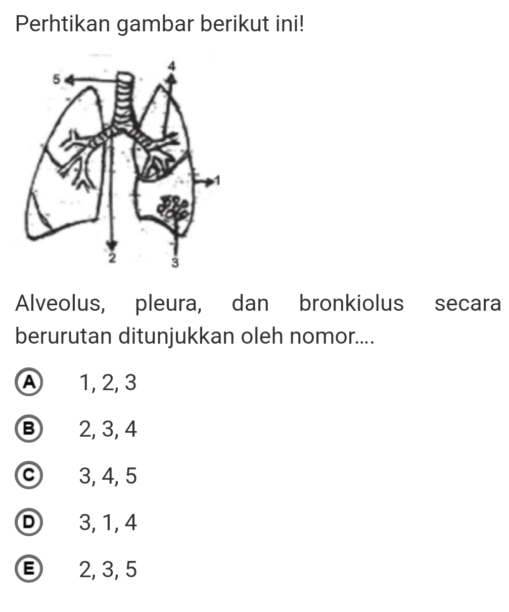 Perhtikan gambar berikut ini!
Alveolus, pleura, dan bronkiolus secara
berurutan ditunjukkan oleh nomor....
Ⓐ 1, 2, 3
Ⓑ 2, 3, 4
© 3, 4, 5
D 3, 1, 4
2, 3, 5