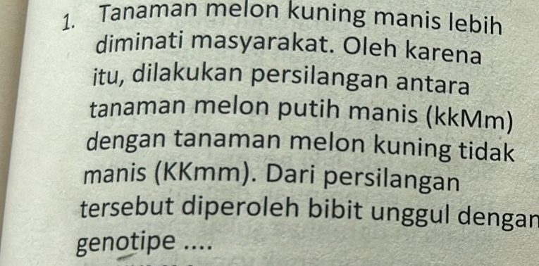 Tanaman melon kuning manis lebih 
diminati masyarakat. Oleh karena 
itu, dilakukan persilangan antara 
tanaman melon putih manis (kkMm) 
dengan tanaman melon kuning tidak 
manis (KKmm). Dari persilangan 
tersebut diperoleh bibit unggul dengan 
genotipe ....