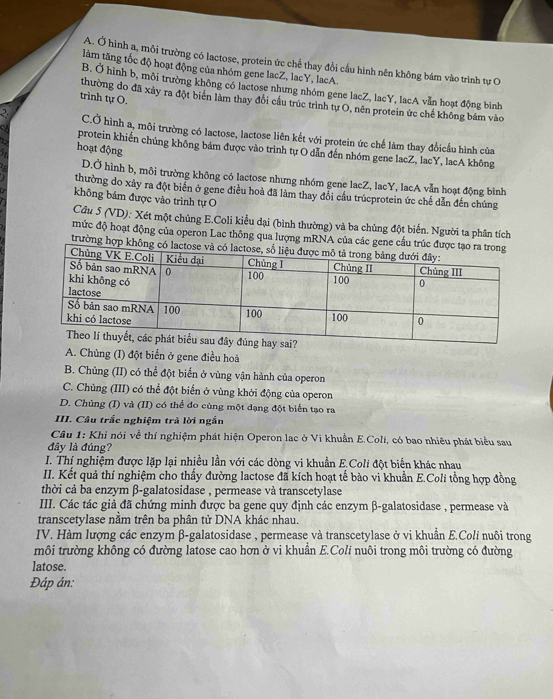 A. Ở hình a, môi trường có lactose, protein ức chế thay đổi cấu hình nên không bám vào trình tự O
làm tăng tốc độ hoạt động của nhóm gene lacZ, lacY, lacA.
B. Ở hình b, môi trường không có lactose nhưng nhóm gene lacZ, lacY, lacA vẫn hoạt động bình
trình tự O.
thường do đã xảy ra đột biến làm thay đổi cấu trúc trình tự O, nên protein ức chế không bám vào
2.
CA
C.Ở hình a, môi trường có lactose, lactose liên kết với protein ức chế làm thay đồicấu hình của
22
S1
hoạt động
protein khiến chúng không bám được vào trình tự O dẫn đến nhóm gene lacZ, lacY, lacA không
D.Ở hình b, môi trường không có lactose nhưng nhóm gene lacZ, lacY, lacA vẫn hoạt động bình
thường do xảy ra đột biển ở gene điều hoà đã làm thay đổi cấu trúcprotein ức chế dẫn đến chúng
không bám được vào trình tự O
Câu 5 (VD): Xét một chủng E.Coli kiểu dại (bình thường) và ba chủng đột biến. Người ta phân tích
mức độ hoạt động của operon Lac thông qua lượng mRNA của các gene cấu trúc được tạ
trường hợp không có lacto
A. Chủng (I) đột biến ở gene điều hoà
B. Chủng (II) có thể đột biến ở vùng vận hành của operon
C. Chủng (III) có thể đột biến ở vùng khởi động của operon
D. Chủng (I) và (II) có thể do cùng một dạng đột biển tạo ra
III. Câu trắc nghiệm trả lời ngắn
Câu 1: Khi nói về thí nghiệm phát hiện Operon lac ở Vi khuẩn E.Coli, có bao nhiêu phát biểu sau
đây là đúng?
I. Thí nghiệm được lặp lại nhiều lần với các dòng vi khuẩn E.Coli đột biến khác nhau
II. Kết quả thí nghiệm cho thấy đường lactose đã kích hoạt tế bào vi khuẩn E.Coli tổng hợp đồng
thời cả ba enzym β-galatosidase , permease và transcetylase
III. Các tác giả đã chứng minh được ba gene quy định các enzym β-galatosidase , permease và
transcetylase nằm trên ba phân tử DNA khác nhau.
IV. Hàm lượng các enzym β-galatosidase , permease và transcetylase ở vi khuẩn E.Coli nuôi trong
môi trường không có đường latose cao hơn ở vi khuẫn E.Coli nuôi trong môi trường có đường
latose.
Đáp án: