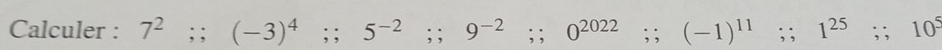 Calculer : 7^2;; (-3)^4;; 5^(-2);; 9^(-2);; 0^(2022);; (-1)^11;; 1^(25);; 10^5