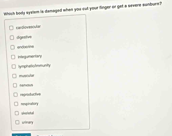 Which body system is damaged when you cut your finger or get a severe sunburn?
cardiovascular
digestive
endocrine
integumentary
lymphatic/immunity
muscular
nervous
reproductive
respiratory
skeletal
urinary