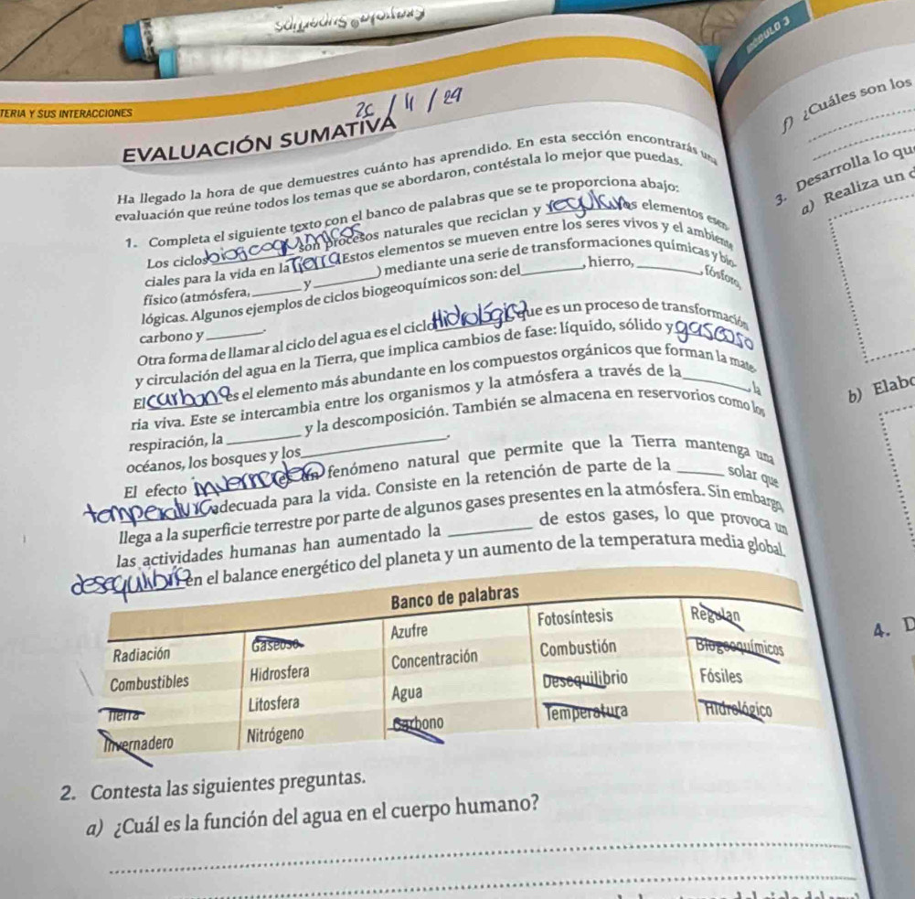 sdmedng sofoitng 
ULO J
TERIA Y SUS INTERACCIONES
O Cuáles son los
EVALUACIÓN SUMATIVA
_
3. Desarrolla lo qu
Ha llegado la hora de que demuestres cuánto has aprendido. En esta sección encontrarás una
evaluación que reúne todos los temas que se abordaron, contéstala lo mejor que puedas,
α) Realiza un 
1. Completa el siguiente texto con el banco de palabras que se te proporciona abajo:
son procesos naturales que reciclan y e s elementos e 
ciales para la vida en lanOOEstos elementos se mueven entre los seres vivos y el ambiém
) mediante una serie de transformaciones químicas y bío
Los ciclos
, hierro,
físico (atmósfera, _
lógicas. Algunos ejemplos de ciclos biogeoquímicos son: del
fósfor
fue es un proceso de transformación
carbono y .
Otra forma de llamar al ciclo del agua es el ciclo
y circulación del agua en la Tierra, que implica cambios de fase: líquido, sólido y_
El es el elemento más abundante en los compuestos orgánicos que forman la mate
ria viva. Este se intercambia entre los organismos y la atmósfera a través de la_
b
b) Elab
respiración, la __y la descomposición. También se almacena en reservorios como los
océanos, los bosques y los,
El efecto _des un fenómeno natural que permite que la Tierra mantenga una
Cadecuada para la vida. Consiste en la retención de parte de la solar que
_llega a la superficie terrestre por parte de algunos gases presentes en la atmósfera. Sín embargo
de estos gases, lo que provoca un
las actividades humanas han aumentado la
del planeta y un aumento de la temperatura media global
4. D
2. Contesta las siguientes preguntas.
_
a) ¿Cuál es la función del agua en el cuerpo humano?
_