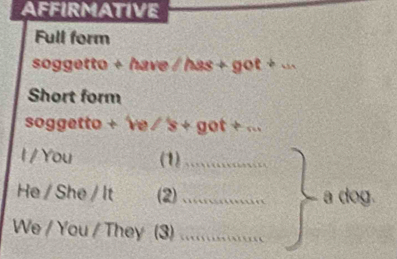 AFFIRMATIVE 
Full form 
soggetto + have / has + got + ... 
Short form 
soggetto + 've / 's + got + ... 
I / You (1) .............. 
He / She / It (2) ................ a dog. 
We / You / They (3) .................