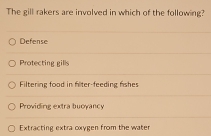 Solved: The gill rakers are involved in which of the following? Defense ...