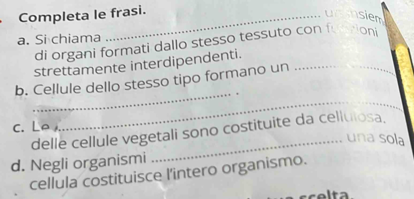 Completa le frasi. 
unsnsiem 
a. Si chiama 
di organi formati dallo stesso tessuto con furvioni 
strettamente interdipendenti._ 
_ 
b. Cellule dello stesso tipo formano un 
c. Le 
_ 
delle cellule vegetali sono costituite da cellulosa. 
una sola 
d. Negli organismi 
cellula costituisce l'intero organismo. 
celta