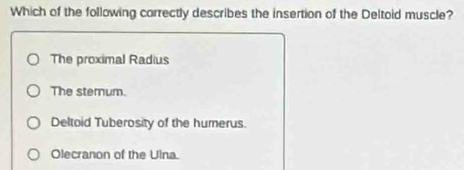 Which of the following carrectly describes the insertion of the Deltoid muscle?
The proximal Radius
The stemum.
Deltoid Tuberosity of the humerus.
Olecranon of the Ulna.