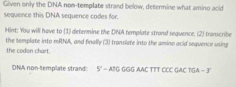 Given only the DNA non-template strand below, determine what amino acid 
sequence this DNA sequence codes for. 
Hint: You will have to (1) determine the DNA template strand sequence, (2) transcribe 
the template into mRNA, and finally (3) translate into the amino acid sequence using 
the codon chart. 
DNA non-template strand: 5' — ATG GGG AAC TTT CCC GAC TGA - 3’