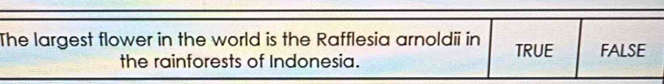 The largest flower in the world is the Rafflesia arnoldii in TRUE FALSE
the rainforests of Indonesia.