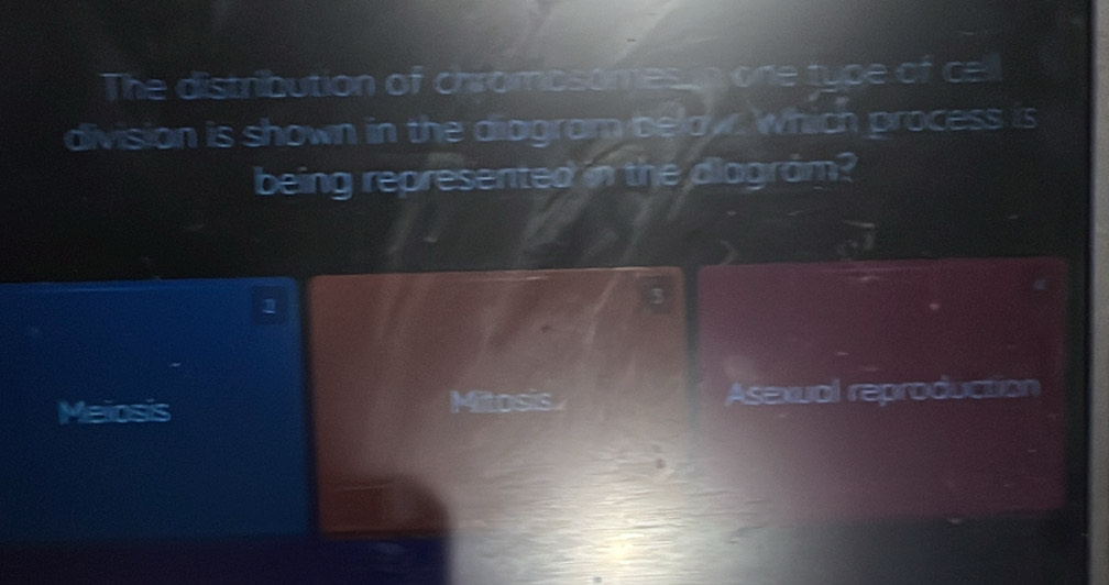 The distribution of chromosomes n one frac □  pe of ce
division is shown in the diagram belaw. Which process is
being represented in the diagram?
1
3
Meiosis Mitosis Asexual reproduction