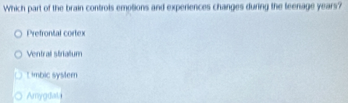 Which part of the brain controls emotions and experiences changes during the teenage years?
Prefrontal cortex
Ventral striatum
L imbic system
Amygdala