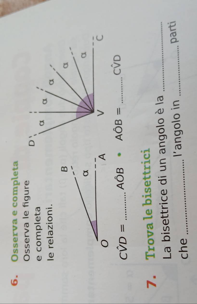 Osserva e completa 
Osserva le figure 
e completa 
le relazioni. 
_ Cwidehat VD=
Ahat O B
Ahat OB= _
Cwidehat VD
7. Trova le bisettrici 
La bisettrice di un angolo è la_ 
che _l'angolo in _parti