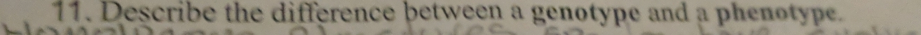 Describe the difference between a genotype and a phenotype.