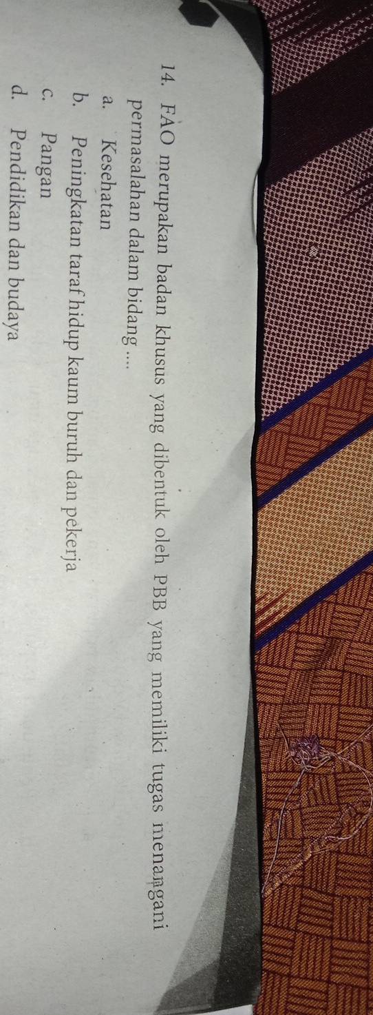 FAO merupakan badan khusus yang dibentuk oleh PBB yang memiliki tugas menaṇgani
permasalahan dalam bidang ....
a. Kesehatan
b. Peningkatan taraf hidup kaum buruh dan pekerja
c. Pangan
d. Pendidikan dan budaya