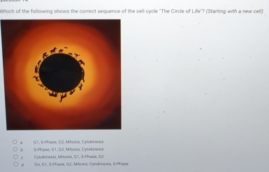 Which of the following shows the correct sequence of the celll cycle "The Circle of Life"? (Starting with a new cell)
G1, S-Phase, 62, Mitosis, Cytokinesis
6 S-Phase, G1, G2, Mitosis, Cytokinesis Cytokinesis Mitosis. G1. S-Phesie G2
Go, G1, S-Phese, G2, Mitosis, Cytokinesis, S-Phase