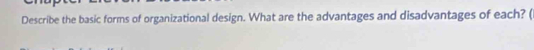 Describe the basic forms of organizational design. What are the advantages and disadvantages of each? (