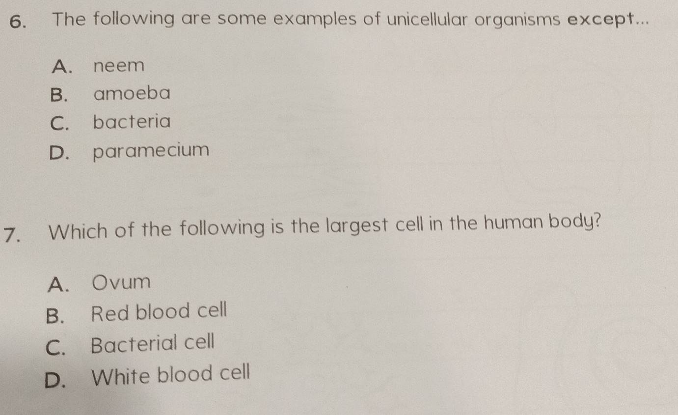 The following are some examples of unicellular organisms except...
A. neem
B. amoeba
C. bacteria
D. paramecium
7. Which of the following is the largest cell in the human body?
A. Ovum
B. Red blood cell
C. Bacterial cell
D. White blood cell