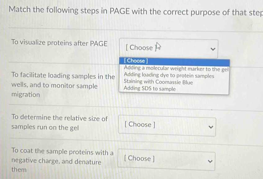 Match the following steps in PAGE with the correct purpose of that step
To visualize proteins after PAGE [ Choose
[ Choose ]
Adding a molecular weight marker to the gel
Adding loading dye to protein samples
To facilitate loading samples in the Staining with Coomassie Blue
wells, and to monitor sample Adding SDS to sample
migration
To determine the relative size of [ Choose ]
samples run on the gel
To coat the sample proteins with a
negative charge, and denature [ Choose ]
them