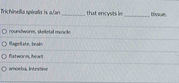Trichinella spiralis is a/an _that encysts in _tissue.
roundworm, skeletal muscle
flagellate, brain
flatworm, heart
amoeba, intestíne