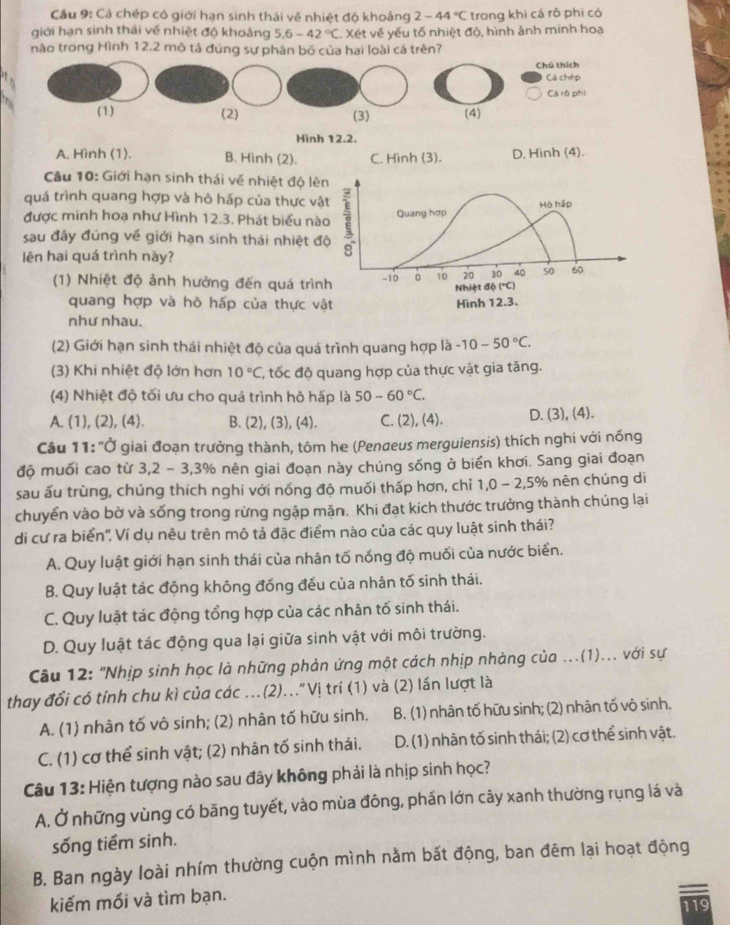 Cả chép có giới hạn sinh thái về nhiệt độ khoảng 2-44°C trong khì cá rô phi có
giới hạn sinh thái về nhiệt độ khoảng 5.6-42°C. Xét về yếu tố nhiệt độ, hình ảnh minh hoạ
nào trong Hình 12.2 mộ tả đúng sự phân bố của hai loài cá trên?
Chú thích
Cá chép
Cá rô phi
(1) (2) (3) (4)
Hình 12.2.
A. Hình (1). B. Hình (2). C. Hình (3). D, Hình (4).
Câu 10: Giới hạn sinh thái về nhiệt độ lê
quá trình quang hợp và hô hấp của thực vậ
được minh hoạ như Hình 12.3. Phát biểu nà
sau đây đúng về giới hạn sinh thái nhiệt đ
lên hai quá trình này?
(1) Nhiệt độ ảnh hưởng đến quá trìn
quang hợp và hõ hấp của thực v
như nhau.
(2) Giới hạn sinh thái nhiệt độ của quá trình quang hợp là -10-50°C.
(3) Khi nhiệt độ lớn hơn 10°C (, tốc độ quang hợp của thực vật gia tăng.
(4) Nhiệt độ tối ưu cho quả trình hộ hấp là 50-60°C.
A. (1), (2), (4). B. (2), (3), (4). C. (2), (4). D. (3), (4).
Câu 11: "Ở giai đoạn trưởng thành, tôm he (Penaeus merguiensis) thích nghi với nổng
độ muối cao từ 3,2 - 3,3% nên giai đoạn này chúng sống ở biển khơi. Sang giai đoạn
sau ấu trùng, chúng thích nghi với nống độ muối thấp hơn, chỉ 1,0 - 2,5% nên chúng di
chuyển vào bờ và sống trong rừng ngập mặn. Khi đạt kích thước trưởng thành chúng lại
di cư ra biển", Ví dụ nêu trên mô tả đặc điểm nào của các quy luật sinh thái?
A. Quy luật giới hạn sinh thái của nhân tố nổng độ muối của nước biển.
B. Quy luật tác động không đống đếu của nhân tố sinh thái.
C. Quy luật tác động tổng hợp của các nhân tố sinh thái.
D. Quy luật tác động qua lại giữa sinh vật với môi trường.
Câu 12: "Nhịp sinh học là những phản ứng một cách nhịp nhàng của ...(1)... với sự
thay đổi có tính chu kì của các ...(2)..."Vị trí (1) và (2) lần lượt là
A. (1) nhân tố vô sinh; (2) nhân tố hữu sinh. B. (1) nhân tố hữu sinh; (2) nhân tố vô sinh.
C. (1) cơ thể sinh vật; (2) nhân tố sinh thái. D. (1) nhân tố sinh thái; (2) cơ thể sinh vật.
Câu 13: Hiện tượng nào sau đây không phải là nhịp sinh học?
A. Ở những vùng có băng tuyết, vào mùa đông, phần lớn cây xanh thường rụng lá và
sống tiềm sinh.
B. Ban ngày loài nhím thường cuộn mình nằm bất động, ban đêm lại hoạt động
kiếm mồi và tìm bạn.