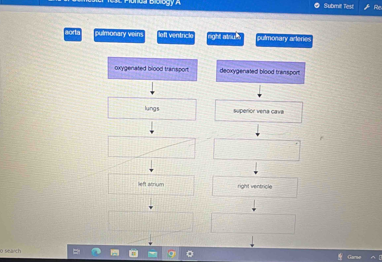 Plonda Biblogy A Submit Test Re
aorta pulmonary veins left ventricle right atriu pulmonary arteries
oxygenated blood transport deoxygenated blood transport
lungs superior vena cava
left atrium right ventricle
o search
Game