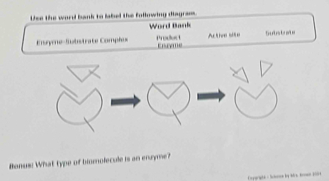 Use the word bank to label the following diagram. 
Word Bank 
Enzyme-Substrate Complex Product Enzyme Active site Substrate 
Bonus: What type of biomolecule is an enzyme?