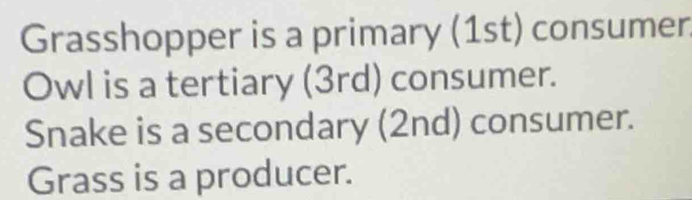 Grasshopper is a primary (1st) consumer.
Owl is a tertiary (3rd) consumer.
Snake is a secondary (2nd) consumer.
Grass is a producer.