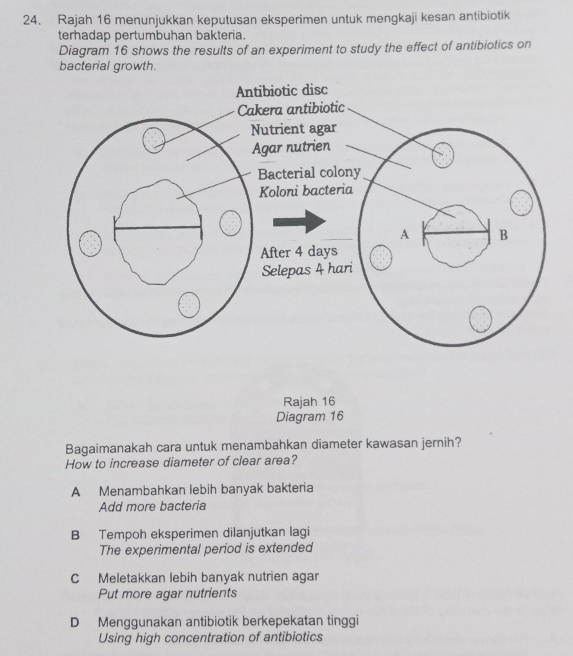 Rajah 16 menunjukkan keputusan eksperimen untuk mengkaji kesan antibiotik
terhadap pertumbuhan bakteria.
Diagram 16 shows the results of an experiment to study the effect of antibiotics on
bacterial growth.
Rajah 16
Diagram 16
Bagaimanakah cara untuk menambahkan diameter kawasan jernih?
How to increase diameter of clear area?
A Menambahkan lebih banyak bakteria
Add more bacteria
B Tempoh eksperimen dilanjutkan lagi
The experimental period is extended
C Meletakkan lebih banyak nutrien agar
Put more agar nutrients
D Menggunakan antibiotik berkepekatan tinggi
Using high concentration of antibiotics