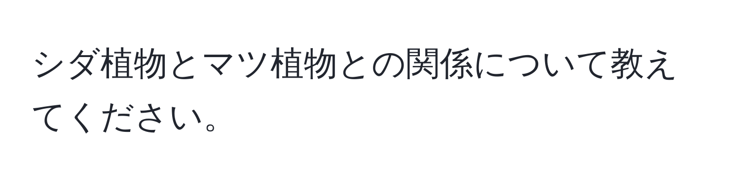 シダ植物とマツ植物との関係について教えてください。