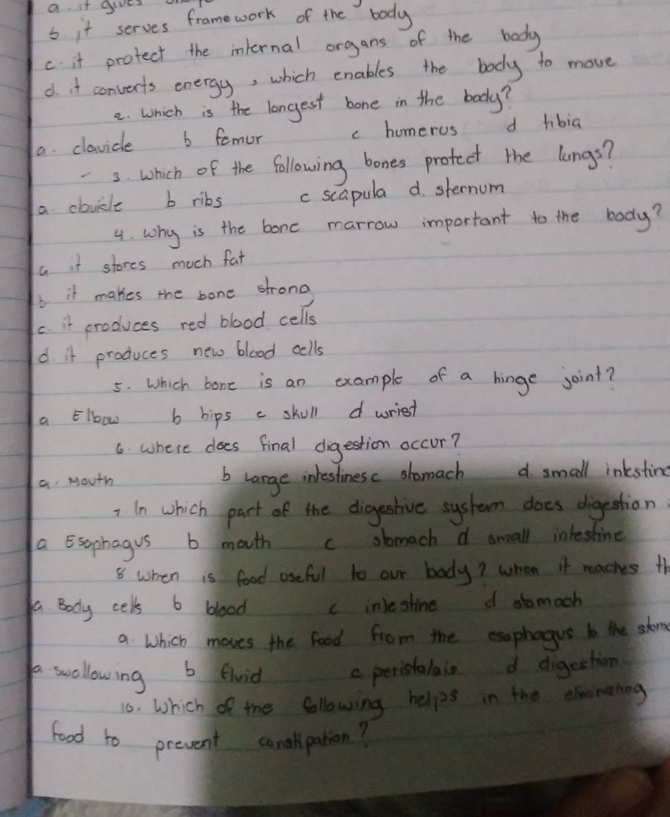 a it gives
b it serves framework of the body
c. it protect the internal organs of the body
d it convents energy, which enables the body to move
e. which is the longest bone in the body?
a clavide b femor c homerus d hibia
3. which of the following bones protect the longs?
a clavile b ribs
c scapula d. sternum
4. why is the bone marrow important to the body?
a it stores much fat
6. it makes the bone strona
c. it produces red blood cells
d it produces new blood cells
5. Which bone is an example of a hinge joint?
a Elbow b bips c skull d wriest
6 where does final digestion occur?
a Mouth b large indestinesc somach d. small inkestire
7 In which part of the digestive system does digestion
a Esophagus b mouth c sbomach d small infestine
8 when is food useful to our body? when it reaches th
a Body cells b blood c inlestine d stomoch
a Which moves the food from the esphagus to the skom
a swollowing b flvid c peristalais d digestion
16. Which of the fllowing helps in the clainging
food to prevent conglipation?