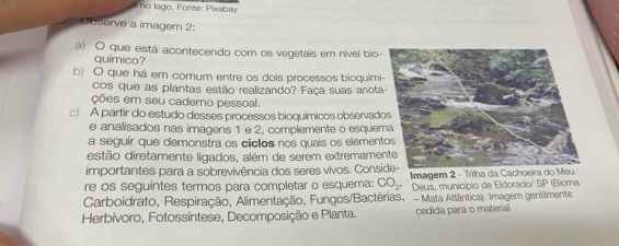 no lago. Fonte: Pixabay 
Obsorve a imagem 2: 
a) O que está acontecendo com os vegetais em nível bio 
químico? 
b) O que há em comum entre os dois processos bioquím 
cos que as plantas estão realizando? Faça suas anot 
ções em seu caderno pessoal. 
c) A partir do estudo desses processos bioquímicos observad 
e analisados nas imagens 1 e 2, complemente o esque 
a seguir que demonstra os ciclos nos quais os elemen 
estão diretamente ligados, além de serem extremame 
importantes para a sobrevivência dos seres vivos. Cons I 
re os seguintes termos para completar o esquema: CO_2, Deus, município de Eldorado/ SP (Bioma 
Carboidrato, Respiração, Alimentação, Fungos/Bactérias, - Mata Atlântica). Imagem gentilmente 
Herbívoro, Fotossíntese, Decomposição e Planta. cedída para o material