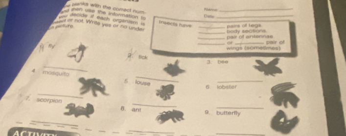 te banks with the correct num . 
Name 
_ 
and then use the information to 
Date 
decide if each organism is Insects have_ 
sect or not. Write yes or no under 
n picture _pairs of legs. 
_body sections. 
_pair of antennae 
_or _pair of 
wings (sometimes) 
By 2： lick 
_ 
3. bee 
_ 
4. mosquito 
5 louse 
_ 
6. lobster 
_ 
7. scorpion 8. ant 
_ 
9. butterfly 
_ 
_