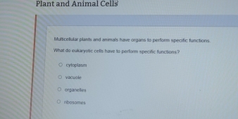 Plant and Animal Cells
Multicellular plants and animals have organs to perform specific functions.
What do eukaryotic cells have to perform specific functions?
cyloplasm
vacuole
organelies
rbosomes