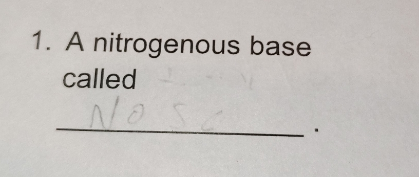 A nitrogenous base 
called 
_