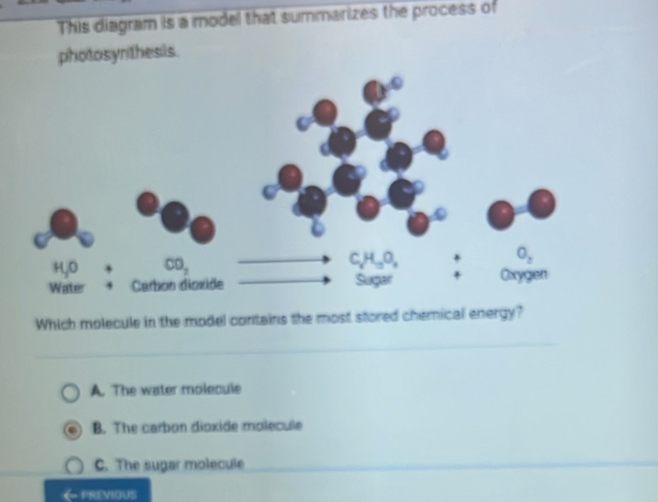 This diagram is a model that summarizes the process of
photosynthesis.
H_3O
CO_2
C_1H_10O_1
O_2
Water y Carbon dioxiõe Sugar
Oxygen
Which molecule in the model contains the most stored chemical energy?
A. The water molecule
B. The carbon dioxide molecule
C. The sugar molecule
PREVIOUS