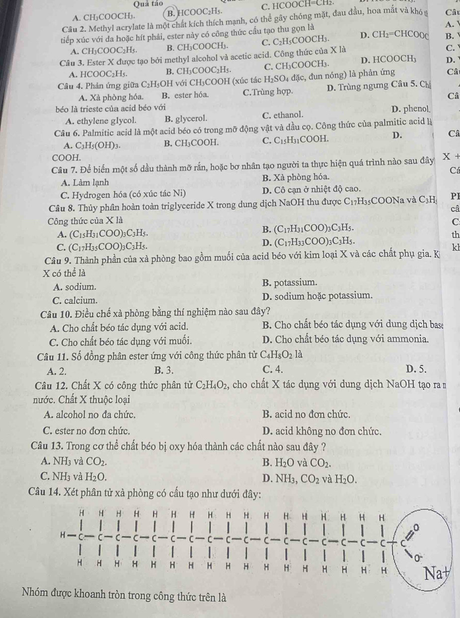 Quả táo
A. CH₃COOCH₃. B. HCOOC₂H₅. C. HCOOCH=CH₂.
Câu 2. Methyl acrylate là một chất kích thích mạnh, có thể gây chóng mặt, đau đầu, hoa mắt và khó t Câu
A. 
tiếp xúc với da hoặc hít phải, ester này có công thức cấu tạo thu gọn là D. CH₂=CHCOOC B.
A. CH₃COOC₂H₅. B. CH₃COOCH₃. C. C₂H₅COOCH₃.
Câu 3. Ester X được tạo bởi methyl alcohol và acetic acid. Công thức của X là C.
A. HCOOC₂H₅. B. CH₃COO C_2H_5 C. CH₃COOCH₃. D. HCOOCH₃ D.
Câu 4. Phản ứng giữa C₂H₃OH với CH₃COOH (xúc tác H₂SO₄ đặc, đun nóng) là phản ứng Câ
A. Xà phòng hóa. B. ester hóa. C.Trùng hợp. D. Trùng ngưng Câu 5. Ch
Câ
béo là trieste của acid béo với D. phenol
A. ethylene glycol. B. glycerol. C. ethanol.
Câu 6. Palmitic acid là một acid béo có trong mỡ động vật và dầu cọ. Công thức của palmitic acid là
D. Câ
A. C_3H_5(OH)_3. B. CH_3COOH. C. C_15H_31 1COOH.
COOH.
Câu 7. Để biến một số dầu thành mỡ rắn, hoặc bơ nhân tạo người ta thực hiện quá trình nào sau đây X +
Cá
A. Làm lạnh B. Xà phòng hóa.
C. Hydrogen hóa (có xúc tác Ni) D. Cô cạn ở nhiệt độ cao.
Câu 8. Thủy phân hoàn toàn triglyceride X trong dung dịch NaOH thu được C_17H_35COONa 1 và C_3H_5 PI
câ
Công thức của X là C
B. (C_17H_31COO)_3C_3H_5.
A. (C_15H_31COO)_3C_3H_5. th
D. (C_17H_33COO)_3C_3H_5.
C. (C_17H_35COO)_3C_3H_5. kl
Câu 9. Thành phần của xà phòng bao gồm muối của acid béo với kim loại X và các chất phụ gia. Ki
X có thể là
A. sodium. B. potassium.
C. calcium. D. sodium hoặc potassium.
Câu 10. Điều chế xà phòng bằng thí nghiệm nào sau đây?
A. Cho chất béo tác dụng với acid. B. Cho chất béo tác dụng với dung dịch base
C. Cho chất béo tác dụng với muối. D. Cho chất béo tác dụng với ammonia.
Câu 11. Số đồng phân ester ứng với công thức phân tử C_4H_8O_2 là
A. 2. B. 3. C. 4. D. 5.
Câu 12. Chất X có công thức phân tử C_2H_4O_2 2, cho chất X tác dụng với dung dịch NaOH tạo ra m
nước. Chất X thuộc loại
A. alcohol no đa chức. B. acid no đơn chức.
C. ester no đơn chức. D. acid không no đơn chức.
Câu 13. Trong cơ thể chất béo bị oxy hóa thành các chất nào sau đây ?
A. NH_3 và CO_2. B. H_2O và CO_2.
C. NH_3 và H_2O. D. NH_3, CO_2 và H_2O.
Câu 14. Xét phân tử xà phòng có cấu tạo như dưới đây:
Nhóm được khoanh tròn trong công thức trên là