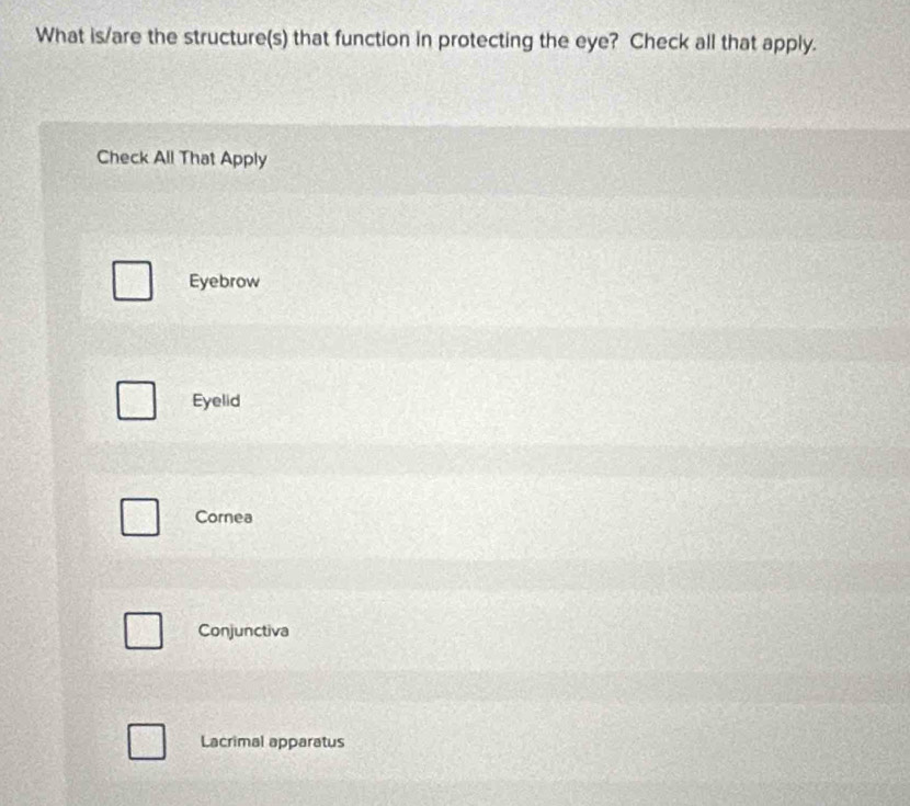 What is/are the structure(s) that function in protecting the eye? Check all that apply.
Check All That Apply
Eyebrow
Eyelid
Cornea
Conjunctiva
Lacrimal apparatus